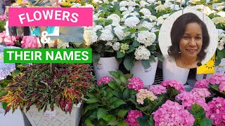 Spring Plant Shopping at Home Depot | Best Choices for Beginners #homedepot