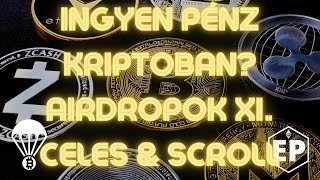 Ingyen pénz kriptoban? Airdropok 11. - Celestia és Scroll testnetek