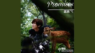 諾言 (Promises)