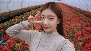 [DIA EUNICE] 여러분 저 사실 금수저......