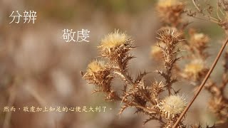 靈修:分辨-敬虔 20241102