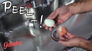 How to Peel a Boiled Egg in 5 Seconds - Life Hacks