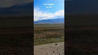 Tso Kar#tsokar#lehbiketrip #lehladakh #lehladakhride #pangonglake #khardunglapass #umlingla #manali