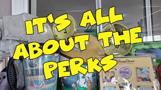 It's All About the Perks  | Live!  Confessions of a Theme Park Worker