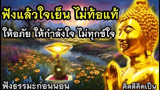 รักษาจิต ไม่ท้อแท้ เวลาทุกข์ ให้อภัย มีกำลังใจ🙏ฟังธรรมะก่อนนอน(935)5