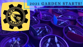 2021 Victory Garden - Starting seeds, sweet potato slips #15