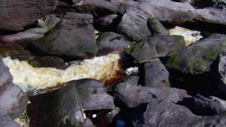 Planet Earth 03 Fresh Water Part 02