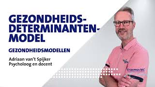 Gezondheidsdeterminantenmodel