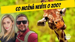 Tučňáci, Jaguáři a lachtani v ZOO Zlín, nejnavštěvovanější ZOO na Moravě