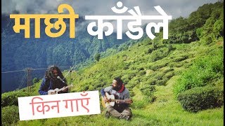 भारतीय गायक ले किन माछी  काँडैले गाएँ | Arko Mukhaerjee