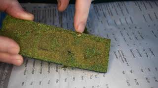 Spacehulk Terrain Tiles - The Grass is Always Greener Side