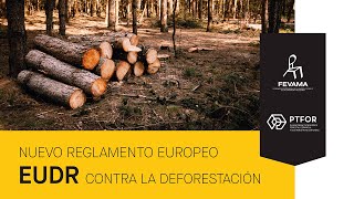 Nuevo reglamento europeo EUDR contra la deforestación