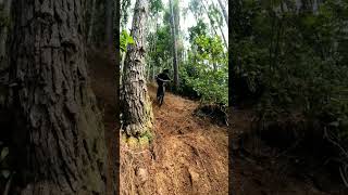 Trilha do Guaco #mtb #bike #trilha #downhill