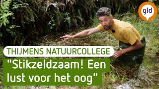 Dit paddenstoeltje komt maar op een paar plekken in NL voor! | Thijmens Natuurcollege | BuitenGewoon