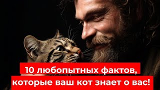 10 Удивительных Фактов, Которые Ваш Кот Знает о Вас!