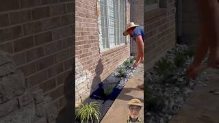 Đầy cảm hứng và sáng tạo cả nhà nên xem #landscaping #gardening #satisfying #planting #landscape