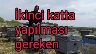 İki Katlı arı kontrolü ve yapılması gerekenler ne Fayda