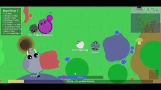 Белый Голубь- любуемся))  mope.io