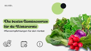 Die Top 5 Gemüsesorten für die Aussaat im September