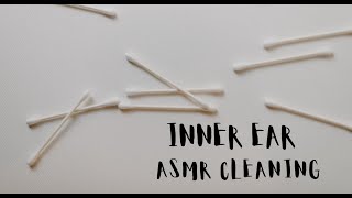 Inner Ear Asmr Cleaning (No Talking)