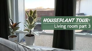 Living Room Houseplant Tour + Plant Care Tips | Part 3