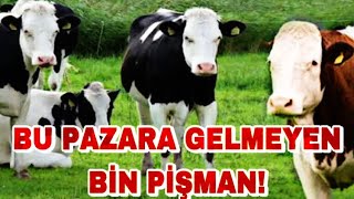 HAVRAN'DA FİYATLAR DÜŞÜYOR | ÇALAN BU PARAYA SATAMAZ..