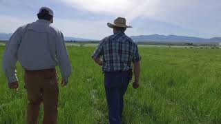 Conservation for the Future - J Bar L Ranch, Twin Bridges, Mont.