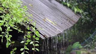 RESTORATION OF THE NERVOUS SYSTEM Gentle music, calms the nervous system