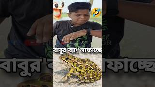 বাবুর ব্যাং 🤣😅 #shorts #trending #shortsfeed #funnyvideo #comedyvideo #dreamxvlgr #1m#trendingshorts