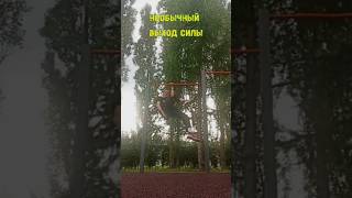 Редкий элемент на турнике #short #воркаут #рекомендации #турник