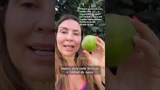 CHÁ DE UMA FRUTA PARA ELIMINAR O INCHAÇO DA BARRIGA E PERNAS