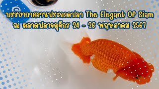 งานประกวดปลาสวยงาม The Elegant Of Siam ณ ตลาดปลาจตุจักร 24-26 พ.ค. 67