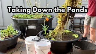 Taking Down the Patio Ponds 2020