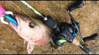 Mancing Casting Mangrove Jack With Senses Saviors 50s