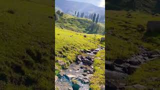 #nature #shortvideo #arunachal #travel #india #kashmir