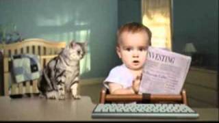 The Cat Sneeze On E-Trade Commerical