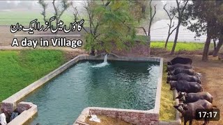 Beautiful Village in Pakistan