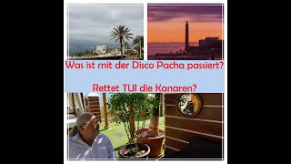 Rettet TUI die kanarischen Inseln? Was ist mit der Disco Pacha passiert? Aktuelles aus Gran Canaria