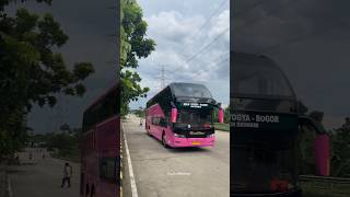 Bis Tingkat Unik,warna liverynya pun unik #storybus #busenthusiast #doubledecker #shorts