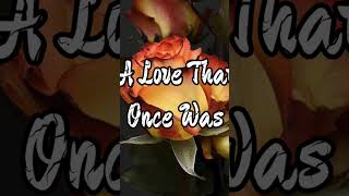 A Love That Once Was 🌹 - Gavin Luke's Musical Elegance #ClassicalRomance #Shorts