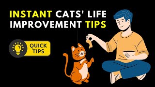 INSTANT CATS' LIFE IMPROVEMENT TIPS | Cat Advices