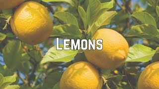 Ashley Tisdale - Lemons (Clean Lyrics)