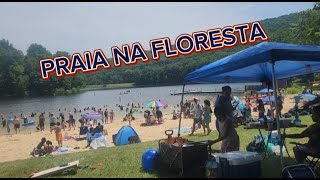 PRAIA NA FLORESTA ESTADOS UNIDOS