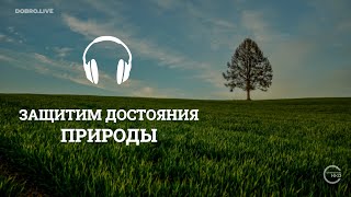 Защитим достояния природы