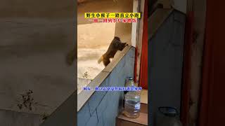 野生小猴子一路直立小跑，一蹦一跳到农户家蹭饭