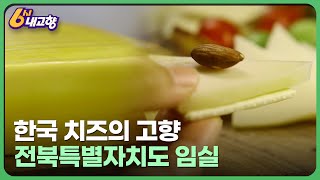 한국 치즈의 고향, 임실 - 전북특별자치도 임실 | KBS 6시 내고향 241011