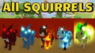 How to Get ALL SQUIRRELS in ANIMAL SIMULATOR [ EGGS LOCATION Roblox ]