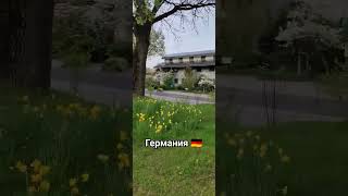 наша жизнь в Германии 🇩🇪. природа радует😍. цветы