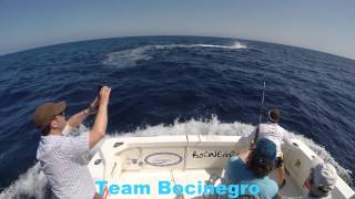 Marlin fishing La Gomera