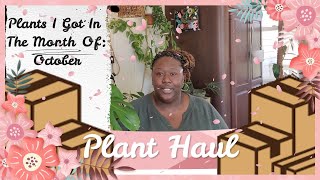 October Plant Haul! Birthday Purchases ~ #14